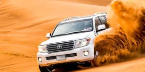 Сафари в Абу-Даби из Абу-Даби