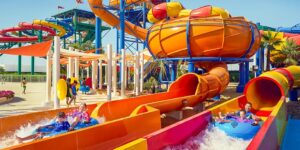 Dubai Parks and Resorts — 2 парка за 1 день