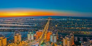 The View at The Palm