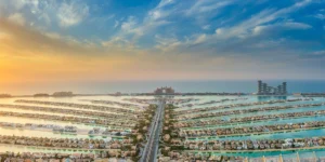 The View at The Palm