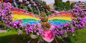 Мир живых бабочек